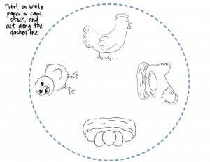 Life cycle craft and coloring page preschool activities life cycles life cycle craft chicken coloring