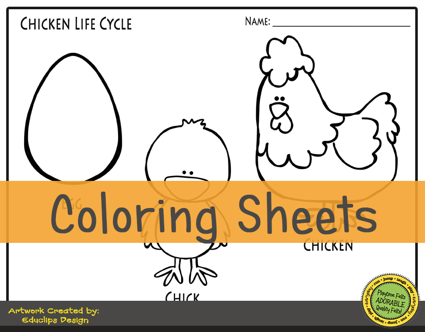 Chicken life cycle freebie friday color sheet