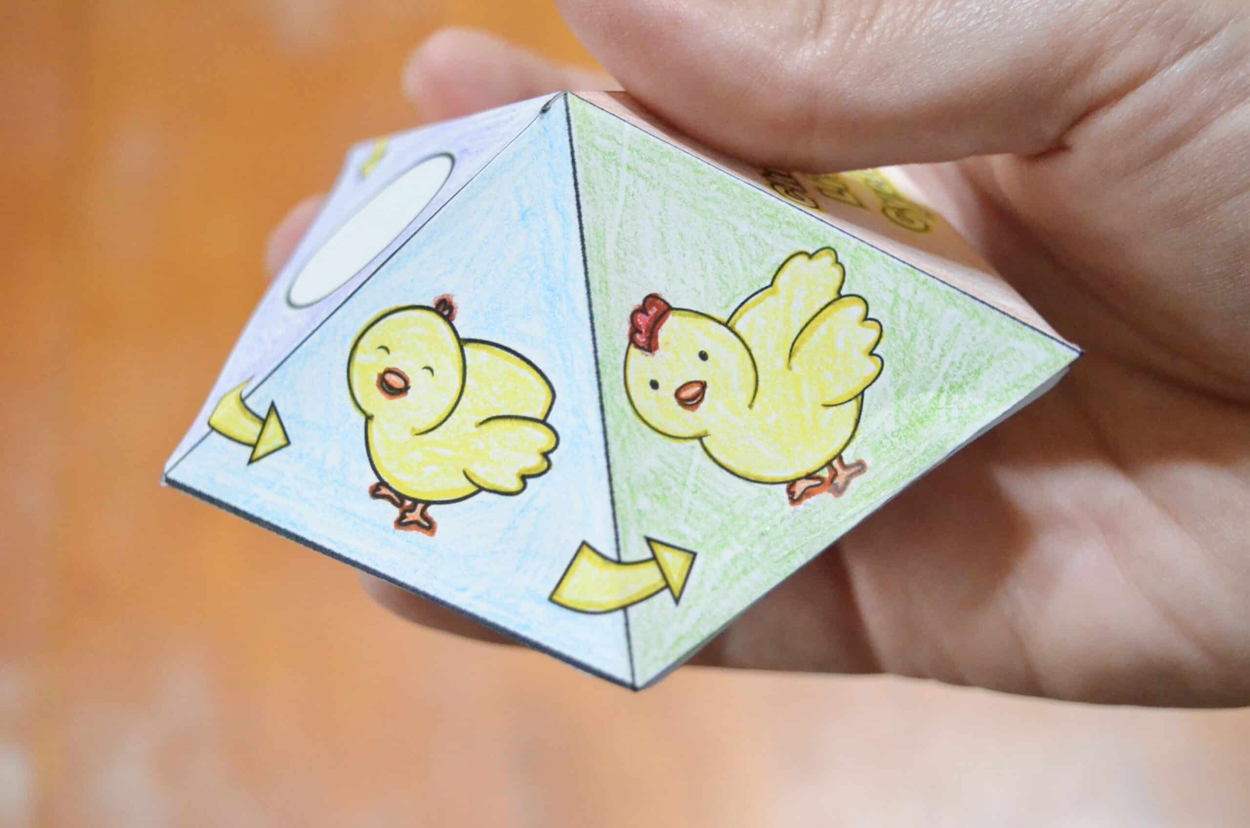 Free printable chicken life cycle interactive spinner top toy