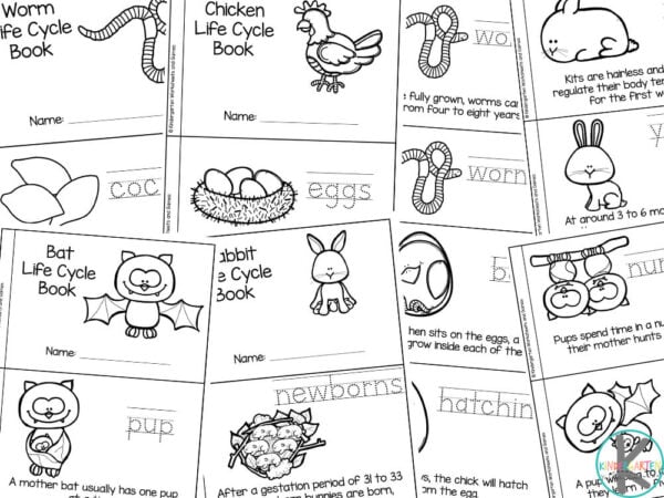 Ððð free farm animal life cycles printable readers for kids