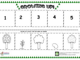 The life cycle of a chicken worksheet â