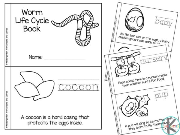 Ððð free farm animal life cycles printable readers for kids