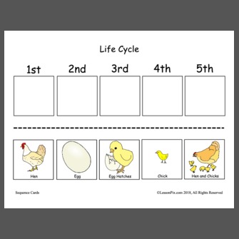 Life cycle hen