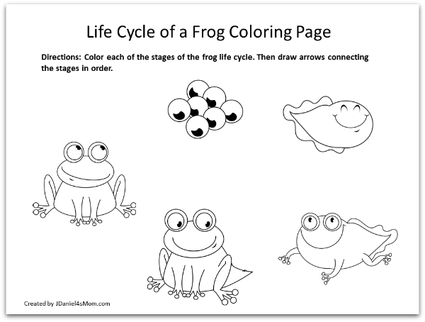 Frog coloring pages and learning activities