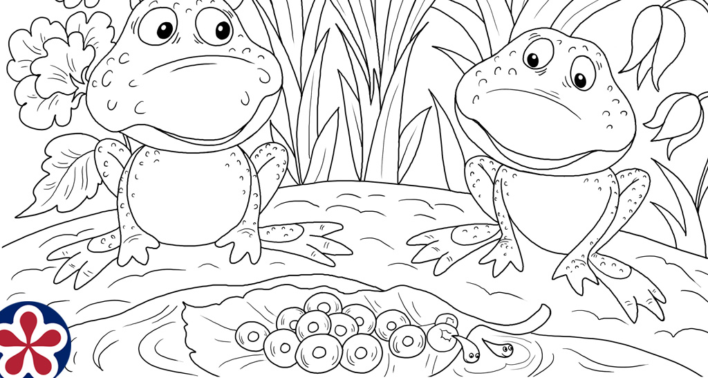 Frog life cycle coloring pages and mini