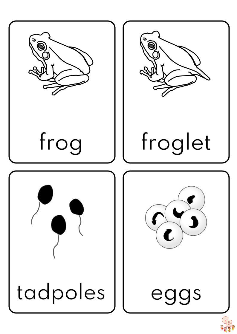 Frog life cycle coloring pages printable free and easy for kids