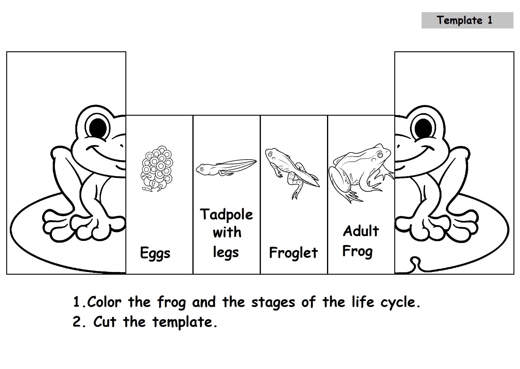 Frog life cycle printable pdf foldable frog life cycle learning activity for kids montessori material mini nature study foldable kids craft