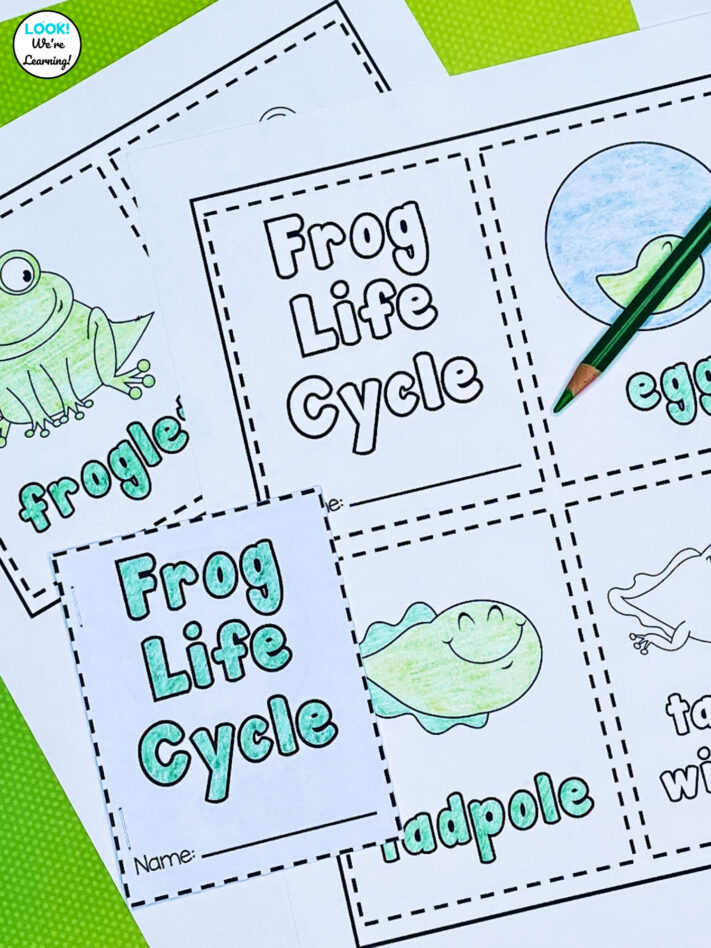 Printable mini frog life cycle book for kids