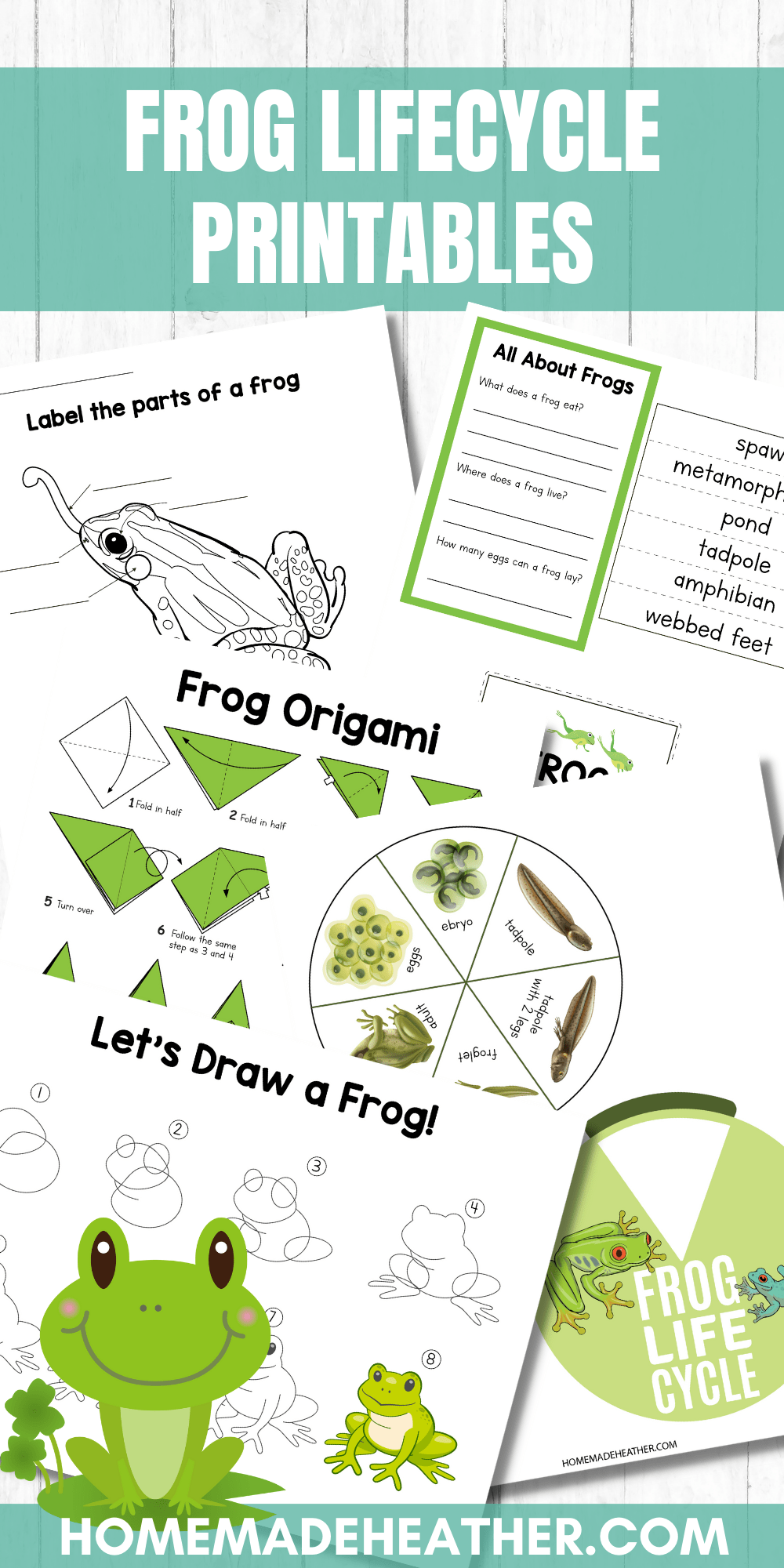 Frog life cycle activity printables homemade heather