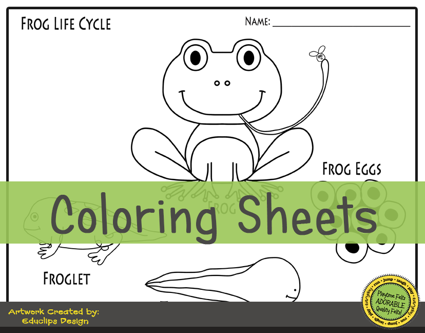 Frog life cycle storytime activities for preschool