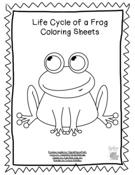 Life cycle of a frog coloring sheets by calmclasschronicles tpt