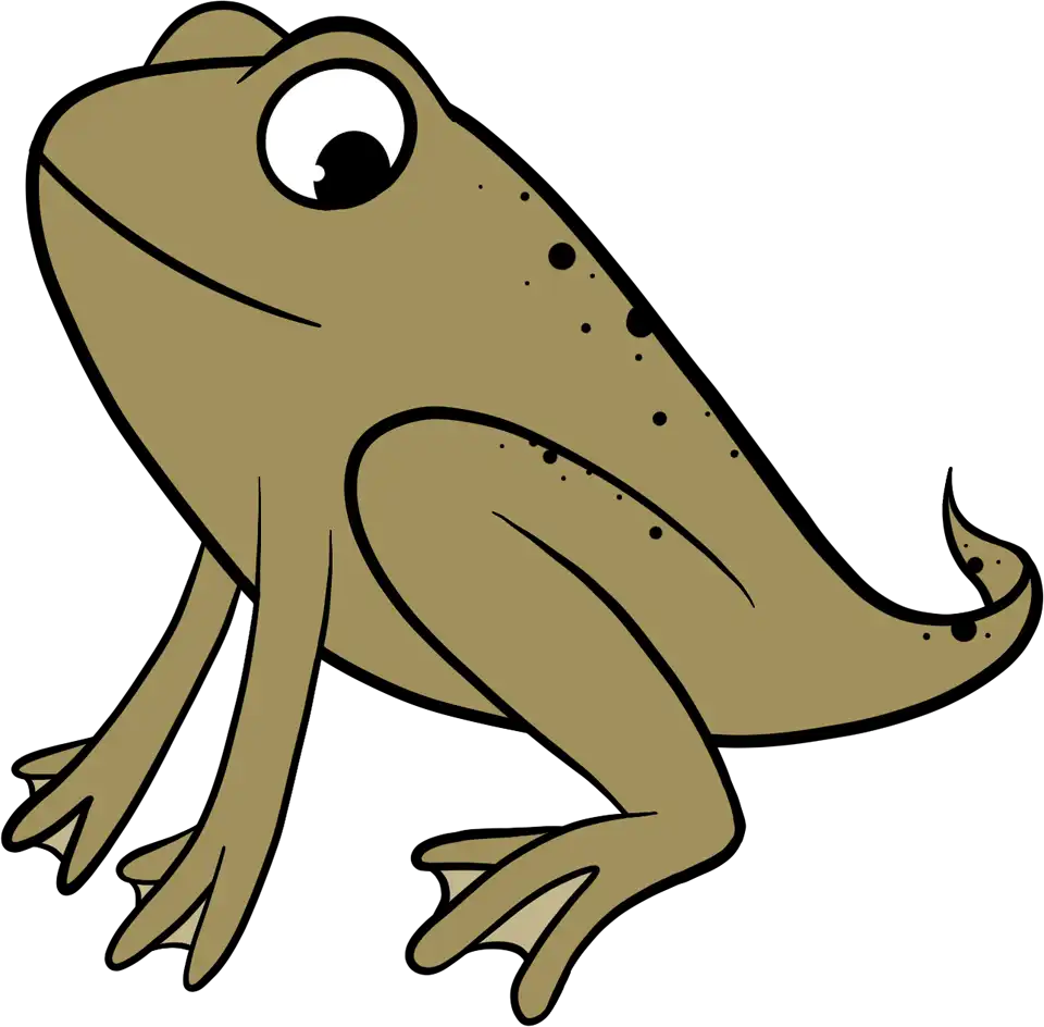 Life cycle of a frog activities for kids