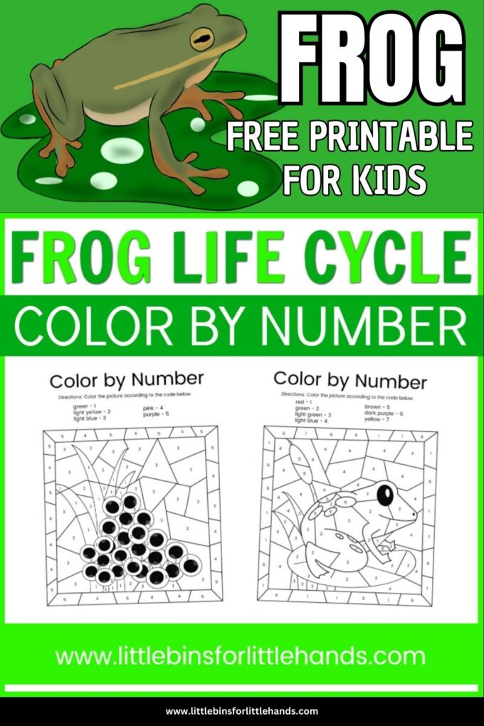 Frog life cycle color by number