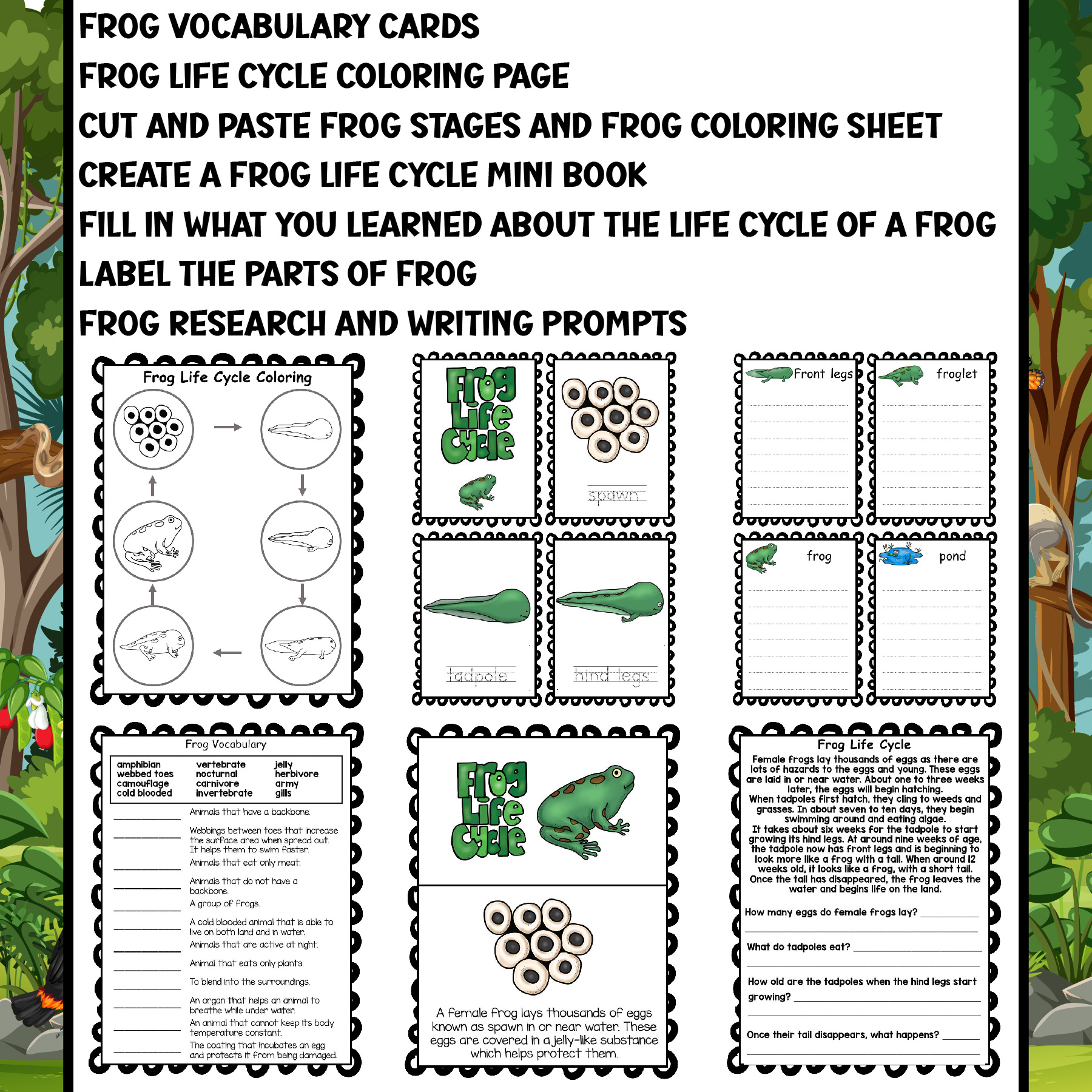 Frog life cycle worksheets