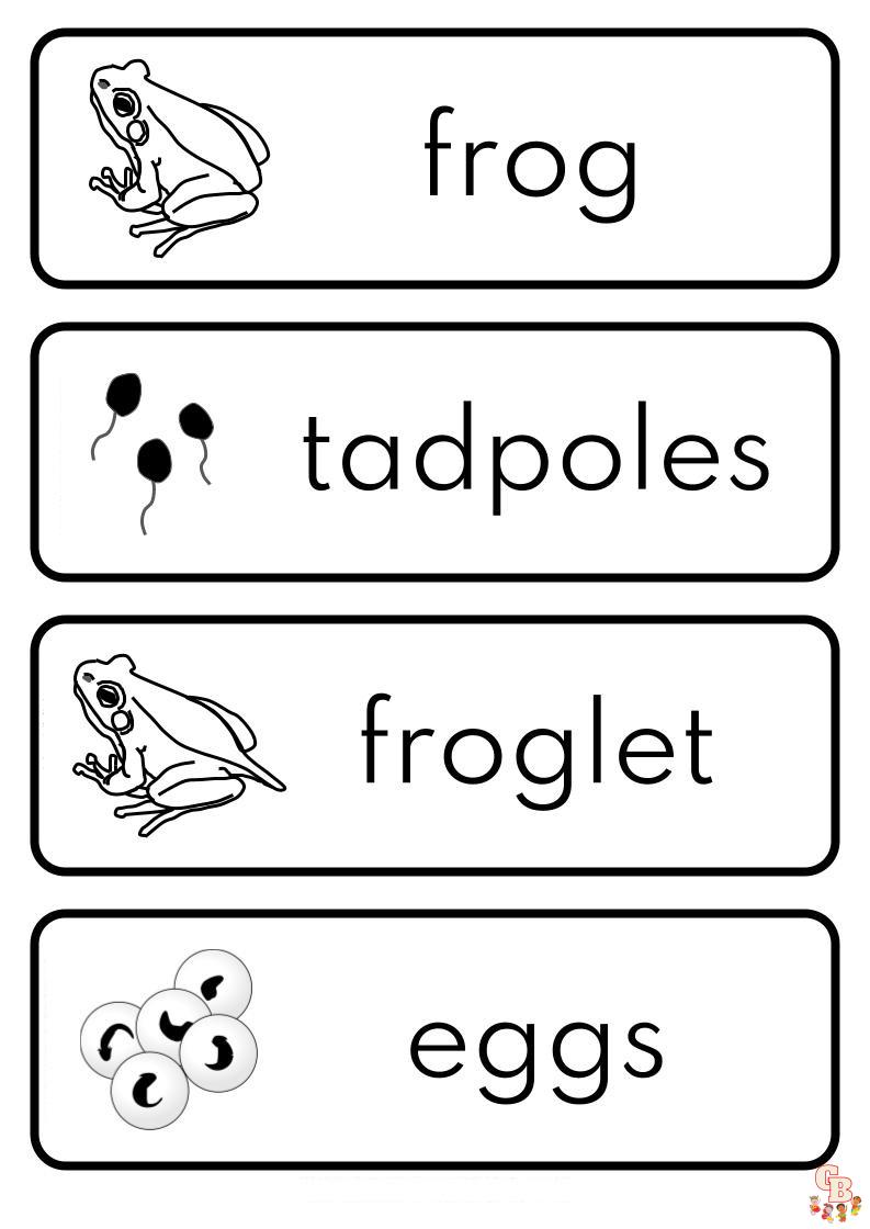 Frog life cycle coloring pages printable free and easy for kids