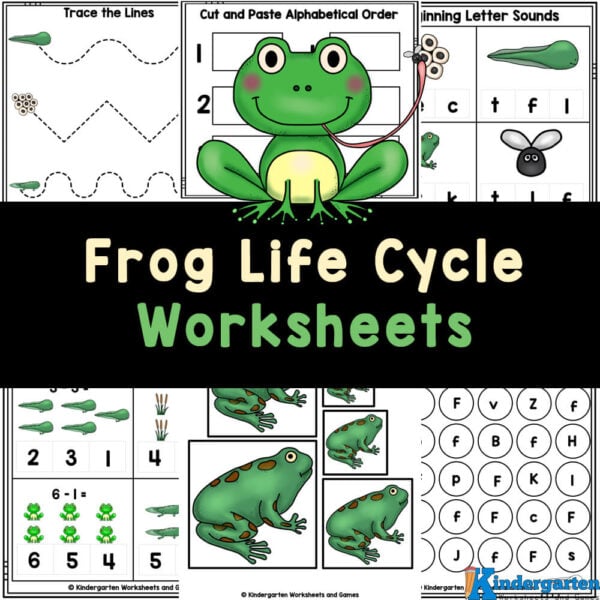 Ð free printable frog life cycle worksheets