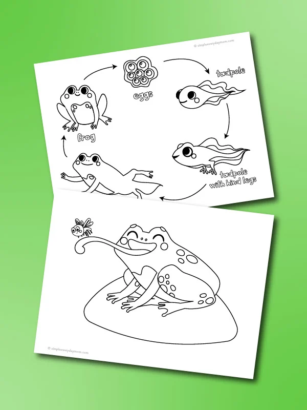 Fun frog coloring pages for kids