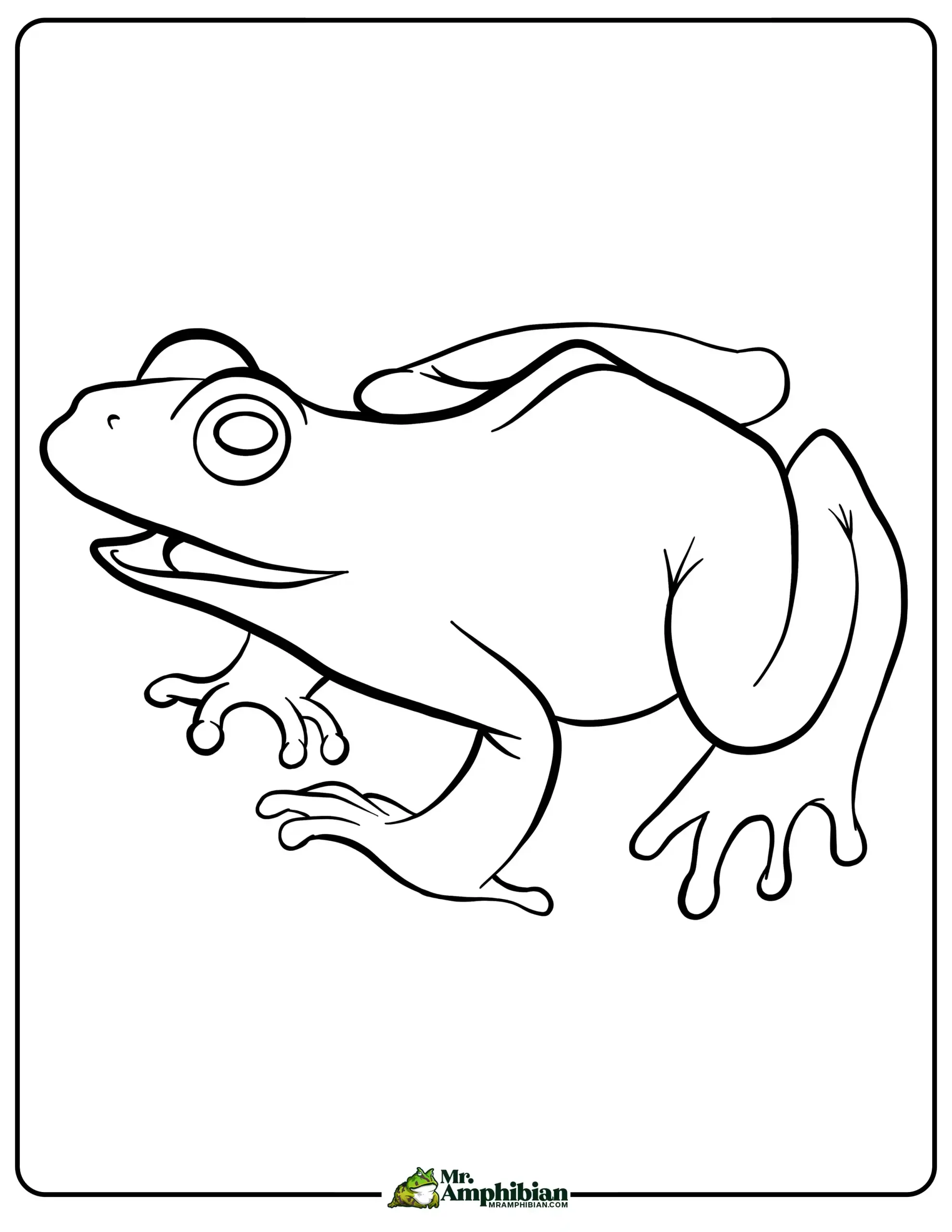 Life cycle of a frog activities for kids