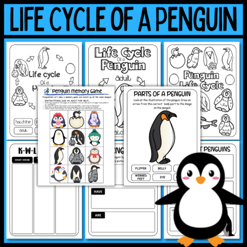 Life cycle of a penguin worksheets world penguin day made by teachers