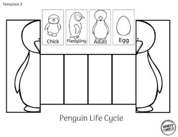 Penguin life cycle foldable sequencing activity differentiated cut and paste life cycles penguin life cycle penguin life