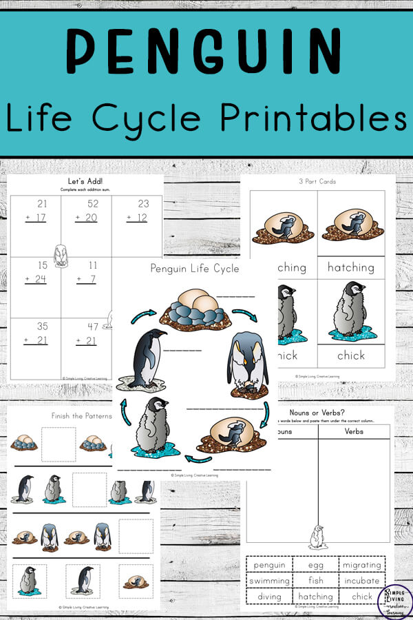 Penguin life cycle printable pack