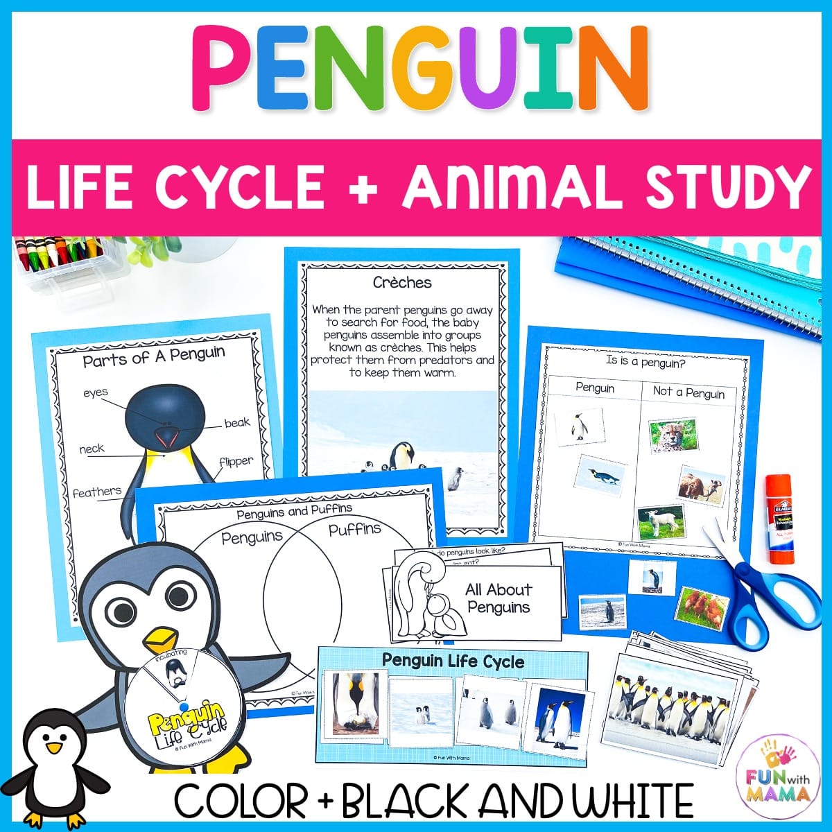 Penguin life cycle penguin animal study