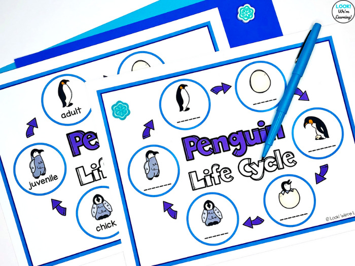 Penguin life cycle sequencing activity for kids