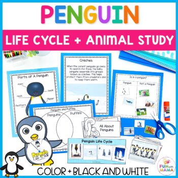 Penguin life cycle