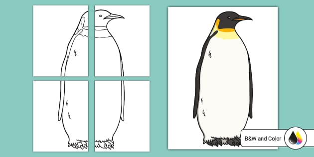 Printable life size emperor penguin cut out usa