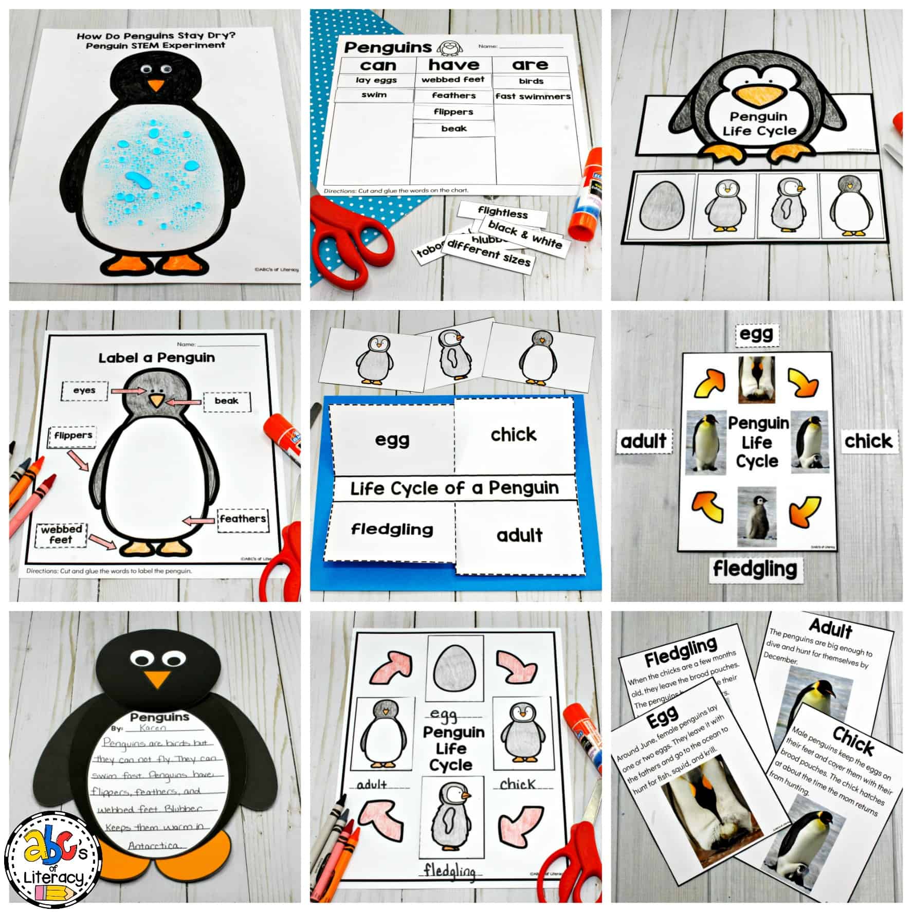 Penguin activities for a winter animal unit of mini