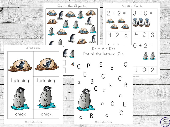 Penguin life cycle printable pack