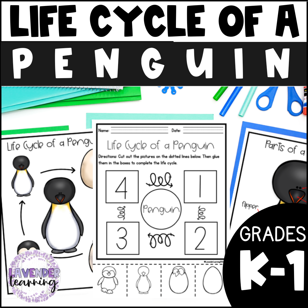 Life cycle of a penguin activities worksheets booklet