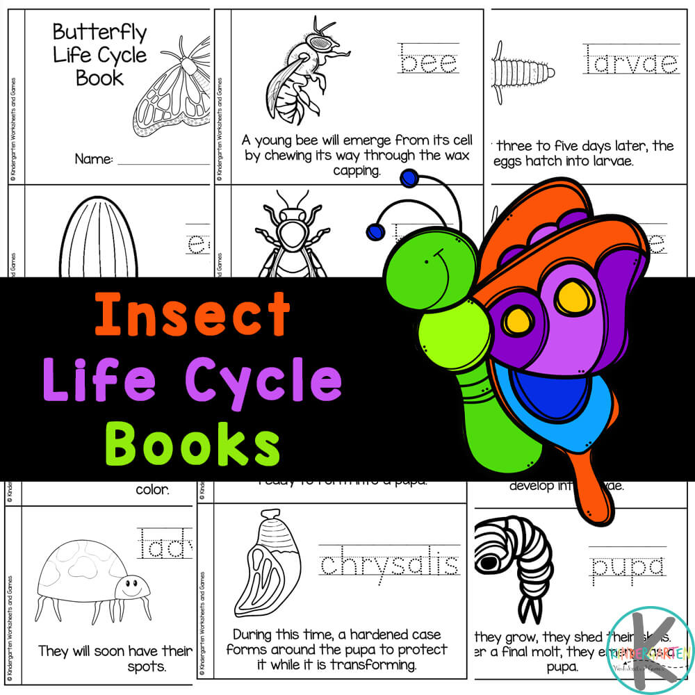 Ðððð free printable insect life cycle mini