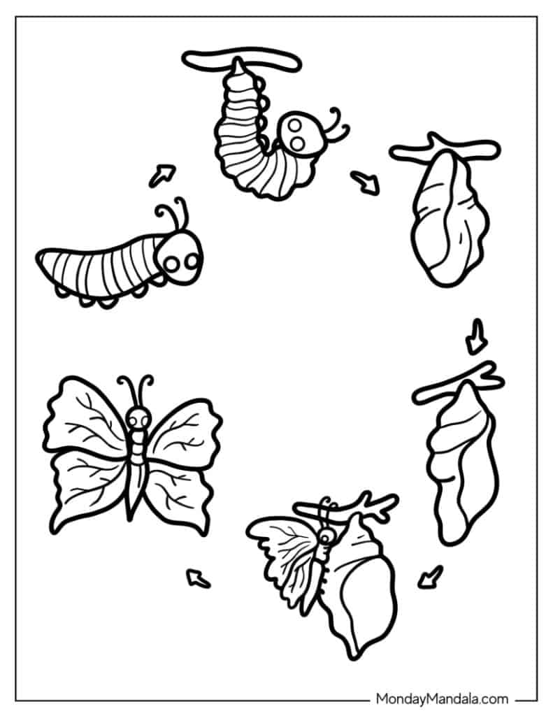 Caterpillar coloring pages free pdf printables