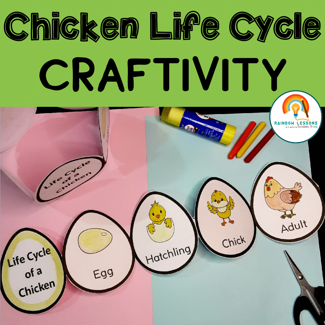 Chicken life cycle craft life cycle of a chicken life cycle of chicken made by teachers