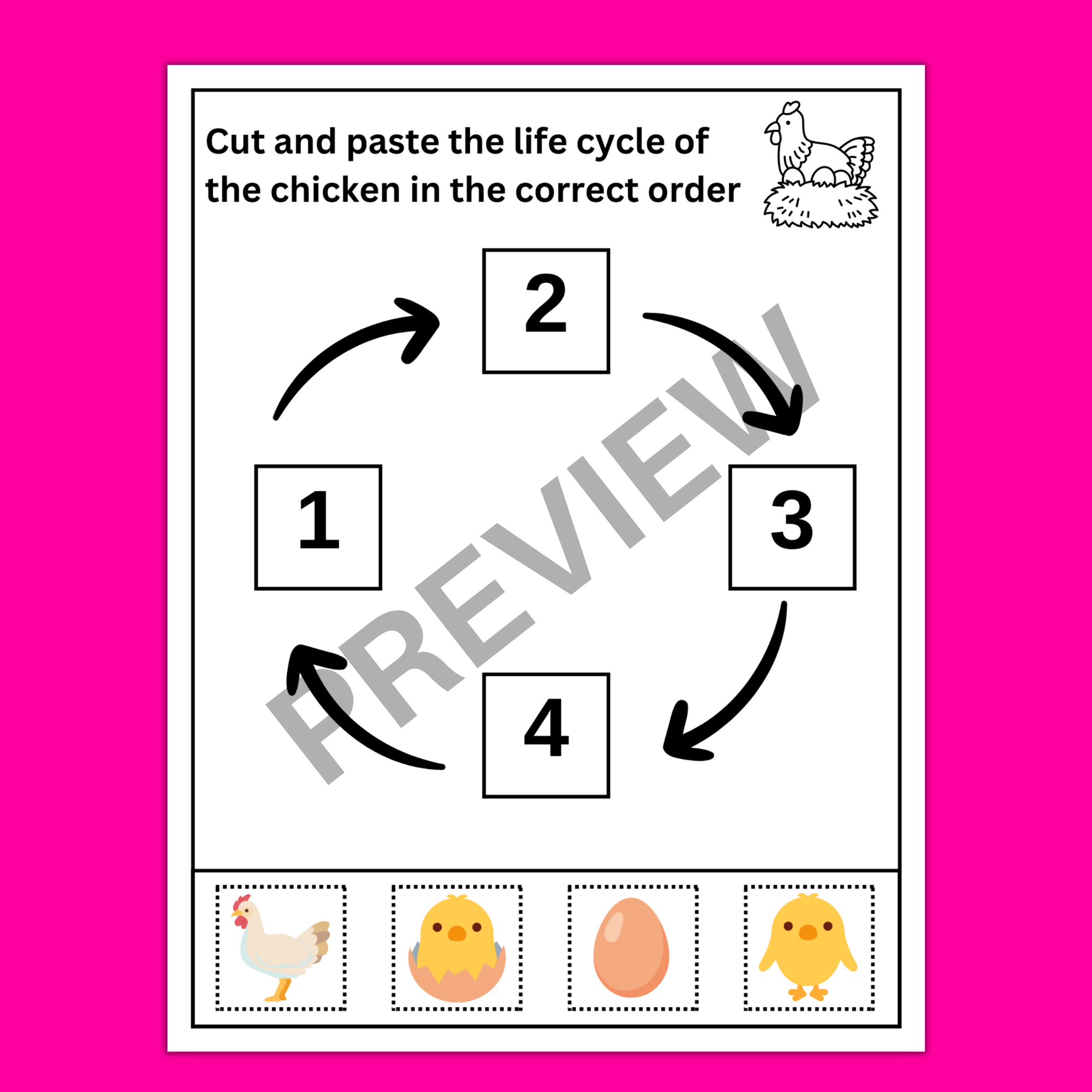 Chicken life cycle hundred chart mystery pictures coloring pages digital print made by teachers