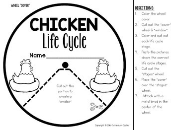 Free chicken life cycle interactive wheel craft by curriculum castle