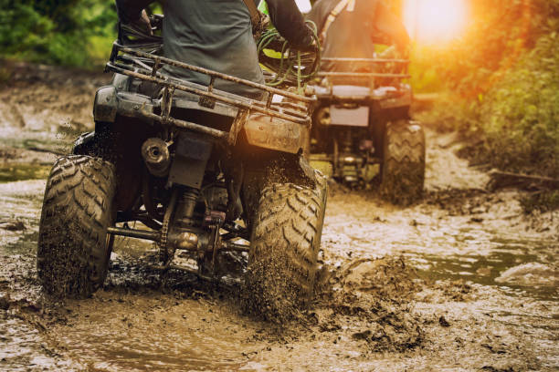 Atv stock photos pictures royalty