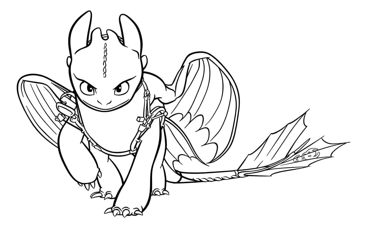 Toothless and light fury coloring page