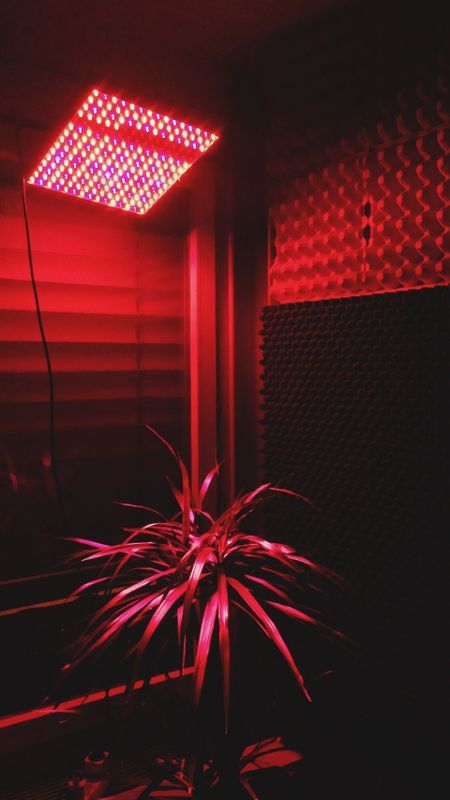 Red aesthetic red light wallpaper download