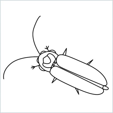 How to draw insect drawings