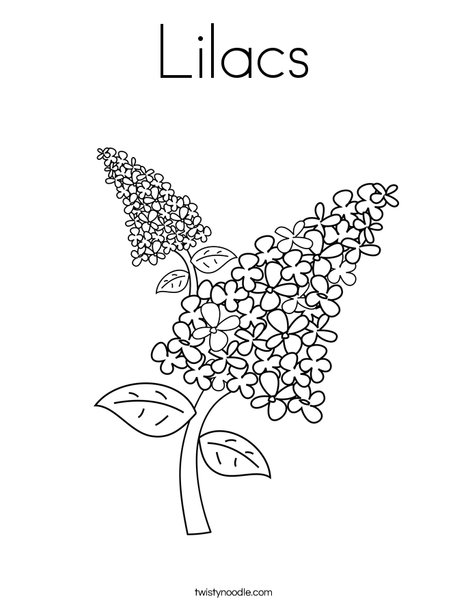 Lilacs coloring page