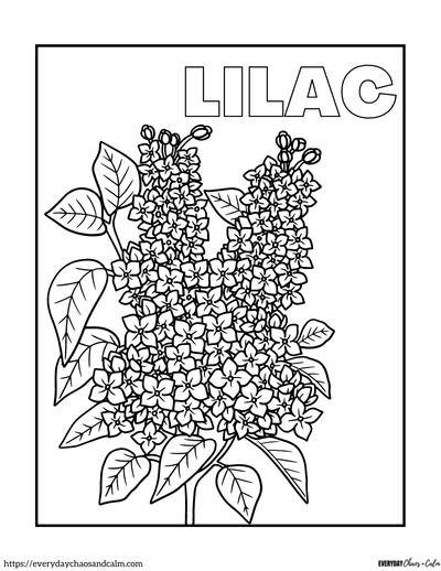 Free realistic flower coloring pages for all ages