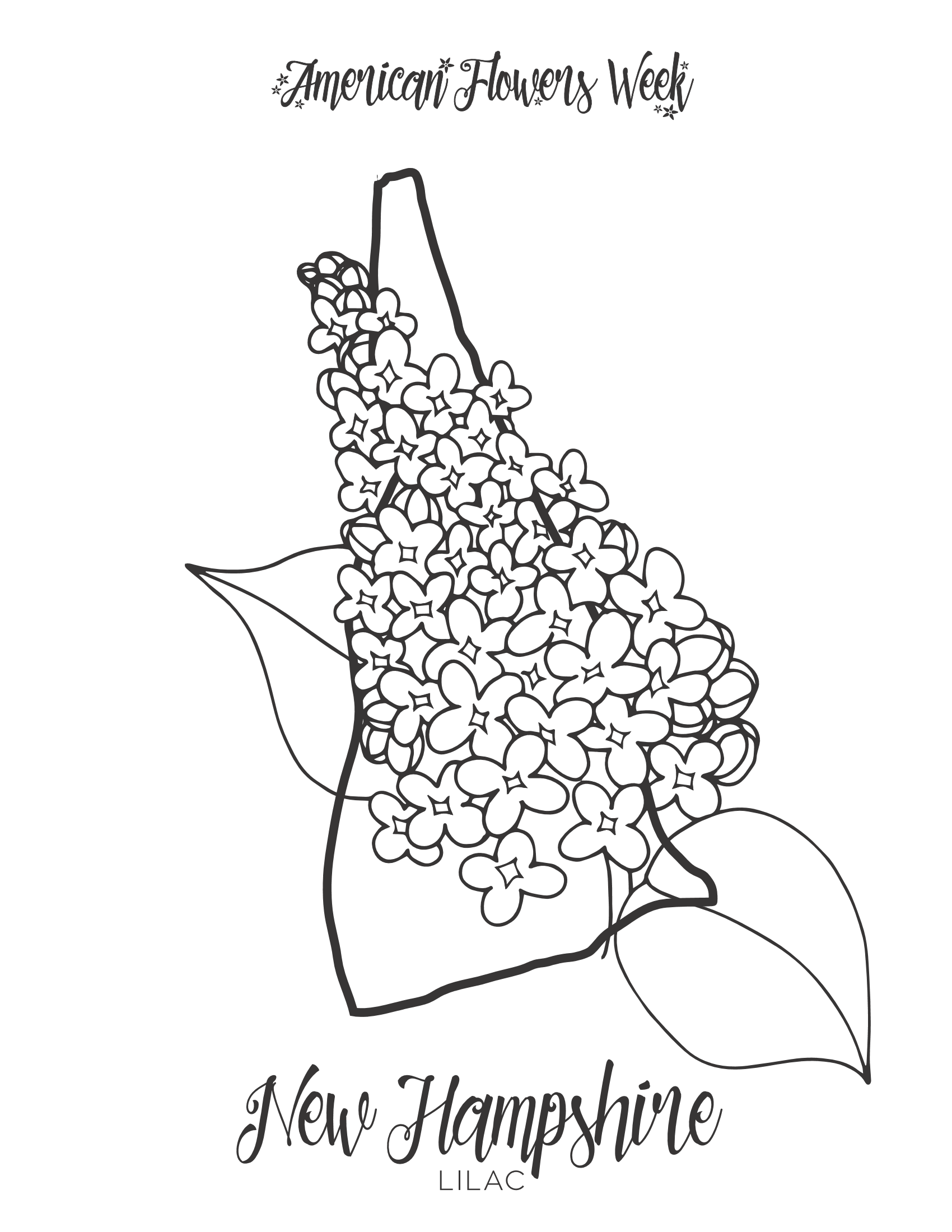 State flowers â free coloring pages â american flowers week