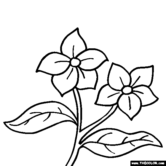 Flower coloring pages color flowers online