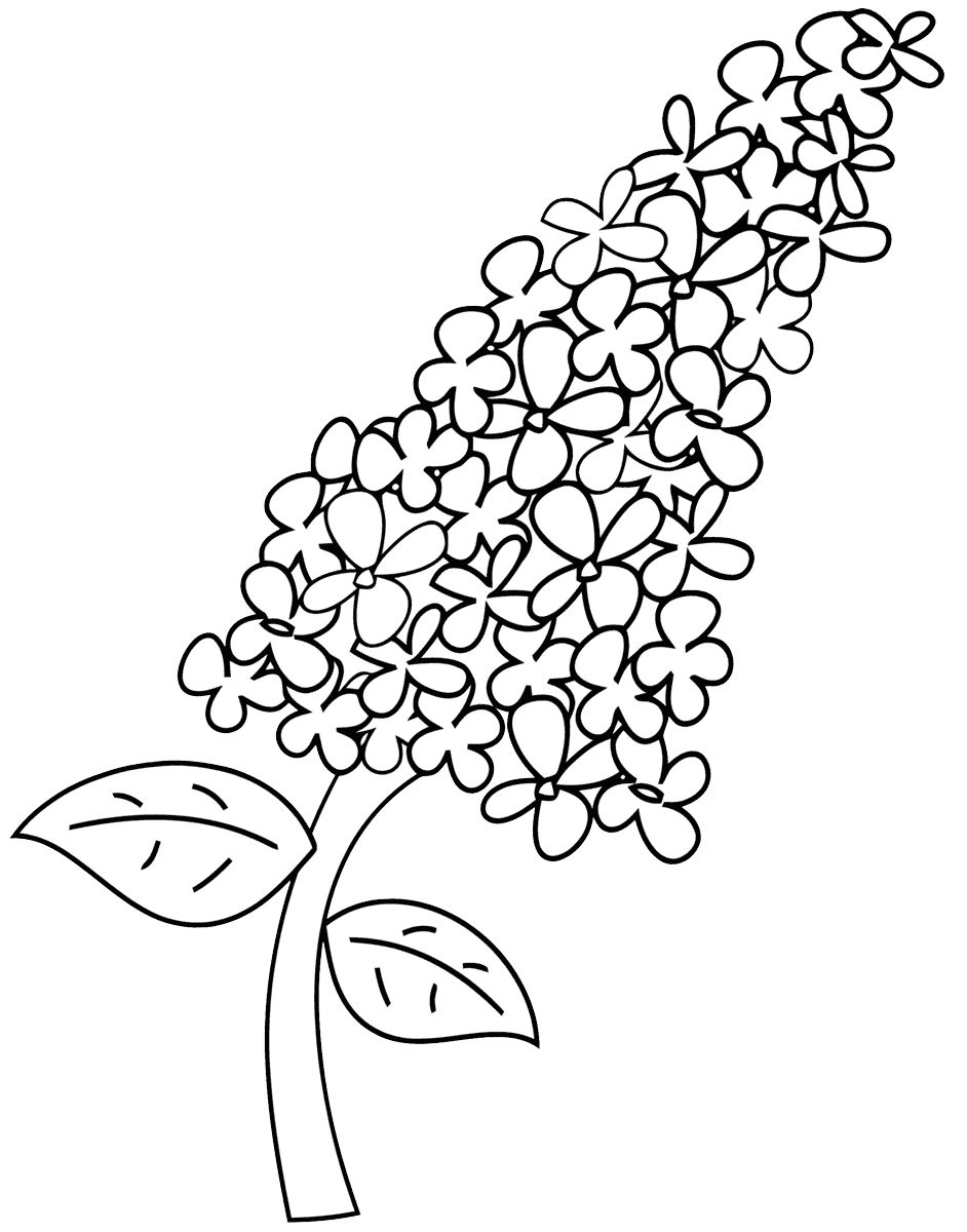 Lilac coloring pages coloring pages to download and print