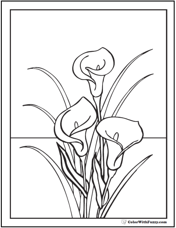 Lily coloring pages â fun interactive notebook pdf printables