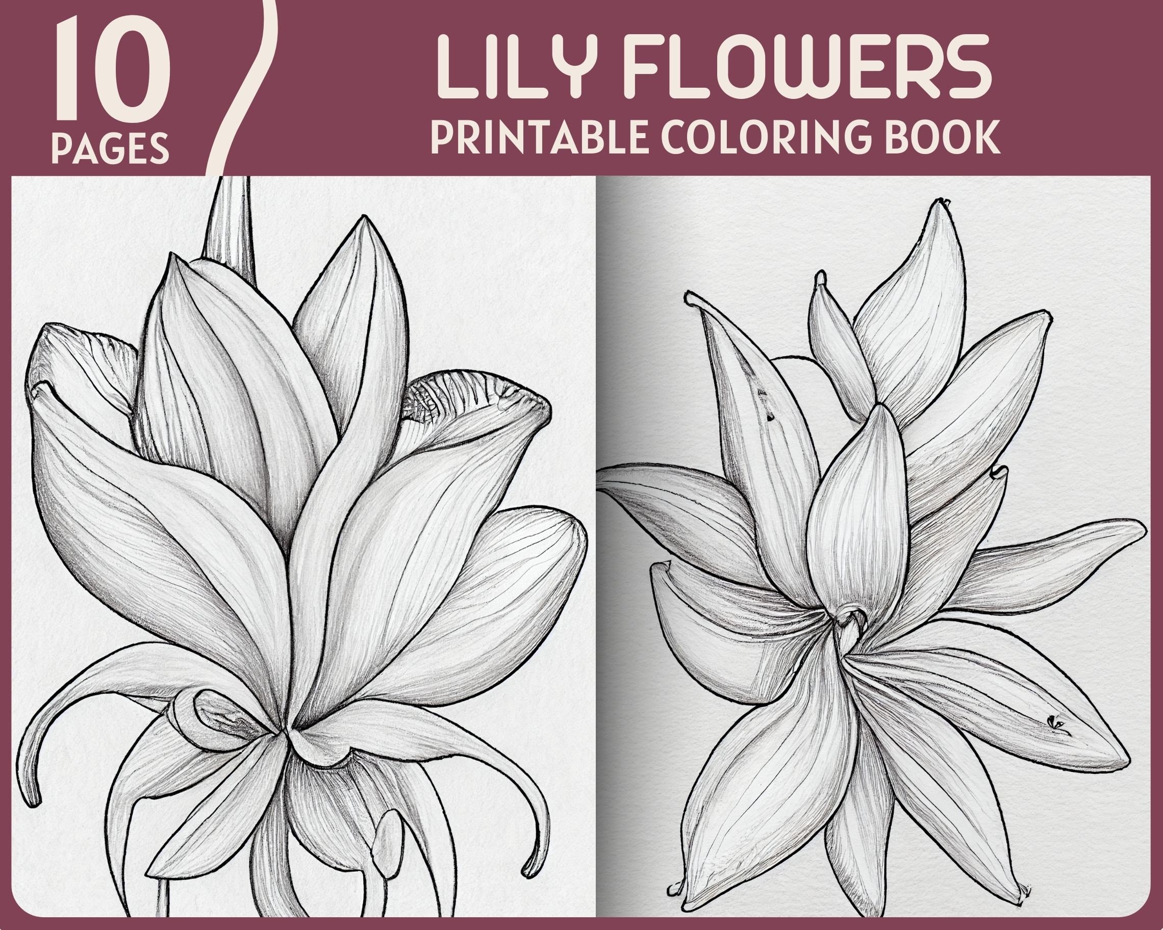 Lily flowers coloring pages natural theme flower illustrations printable coloring book lilies coloring page