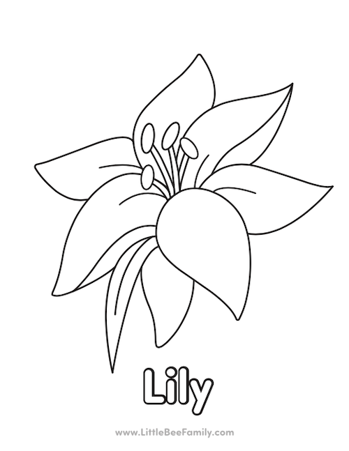 Lily coloring page