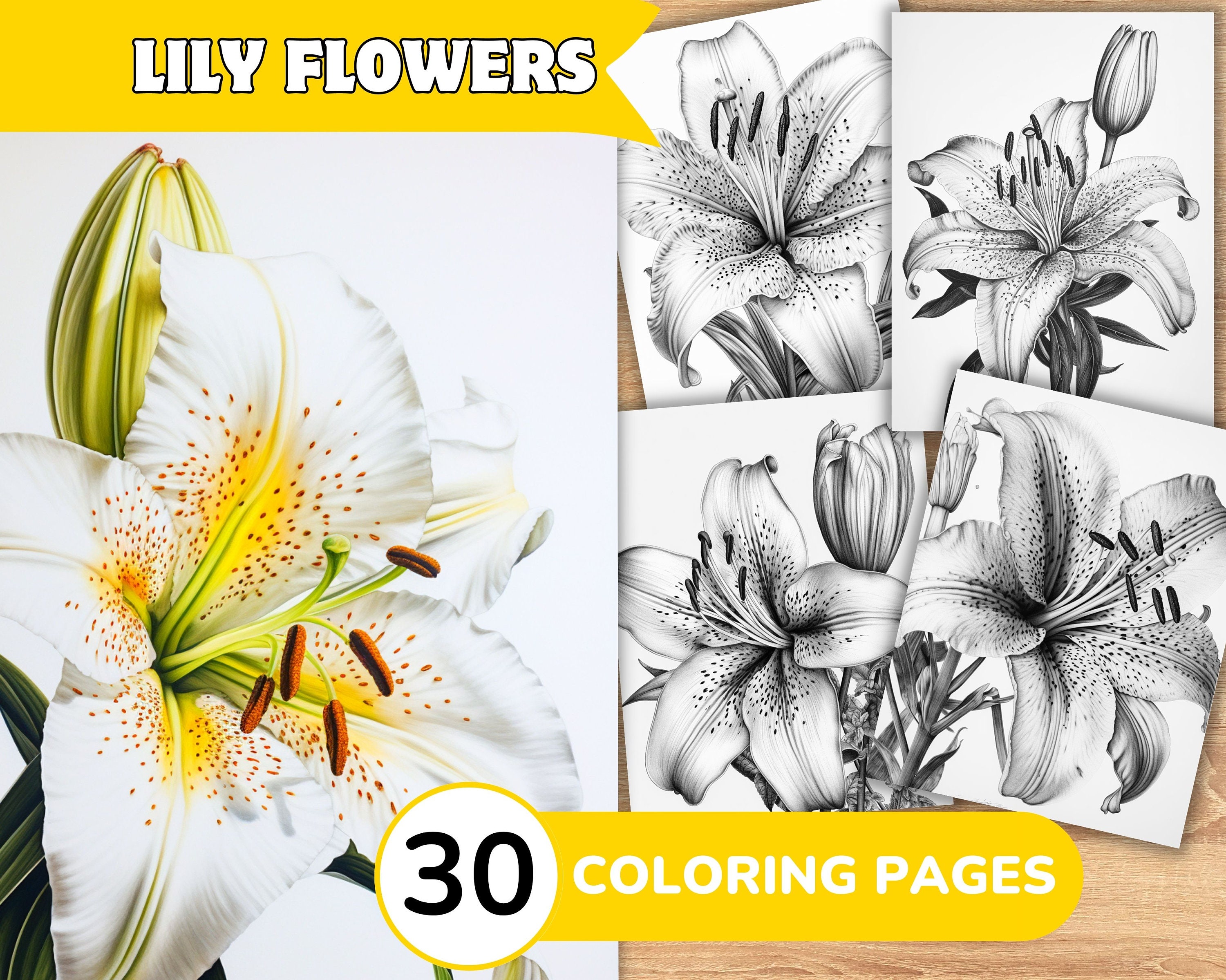 Lily flowers grayscale coloring pages book lily flowers